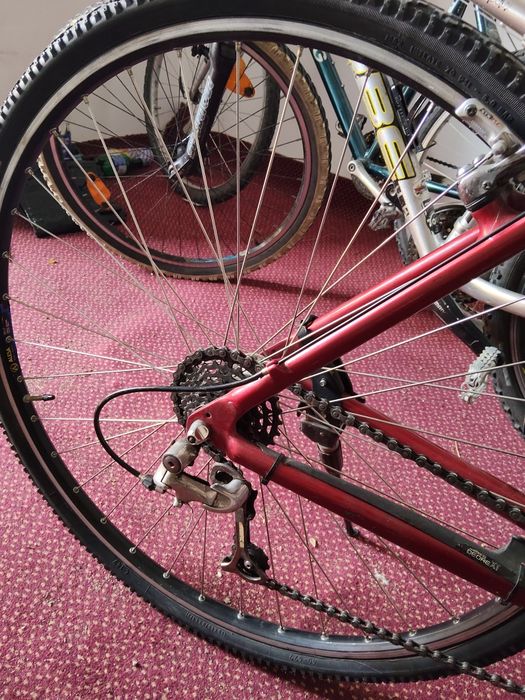 Biciclete CUBE și MUSING