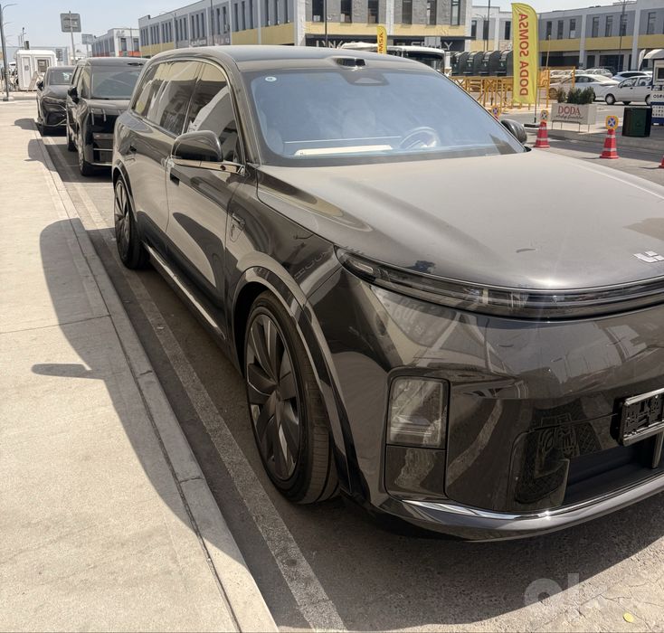 Lixiang L9 Levis