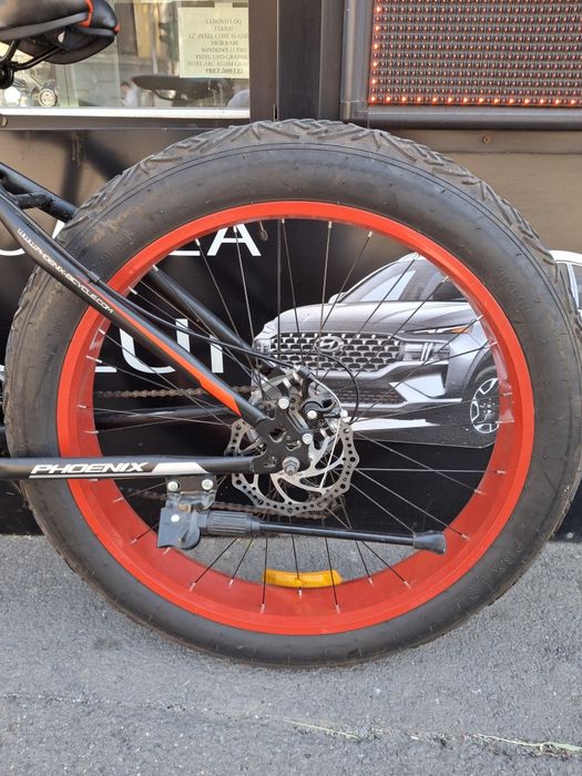 Bicicleta Phoenix