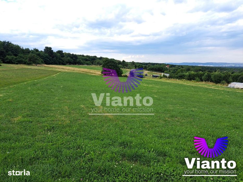 Oportunitate-Teren Extravilan 3100 mp cu vedere Panoramica-Tropinii No