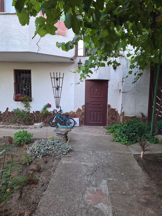 Продава се Къща в с. Полковник Минково, Област Добрич - 300 кв.м за 800 €/кв.м - Снимка #9