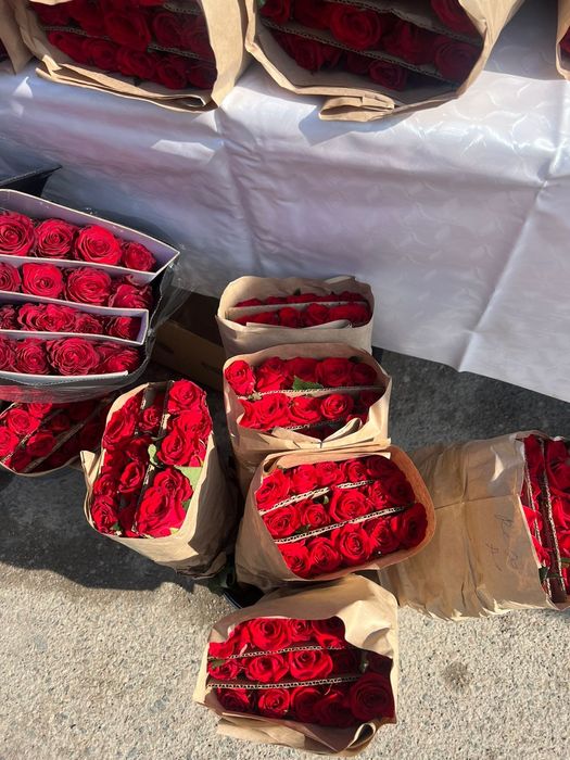 Розы каскелен оптом 500 тг