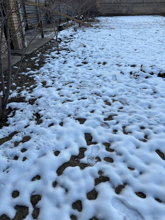 Срочна прадаёция юнусобод хамкоробод 19 сотих ер