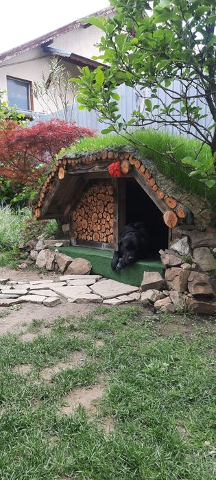 Cușcă pentru câine tip Hobbit