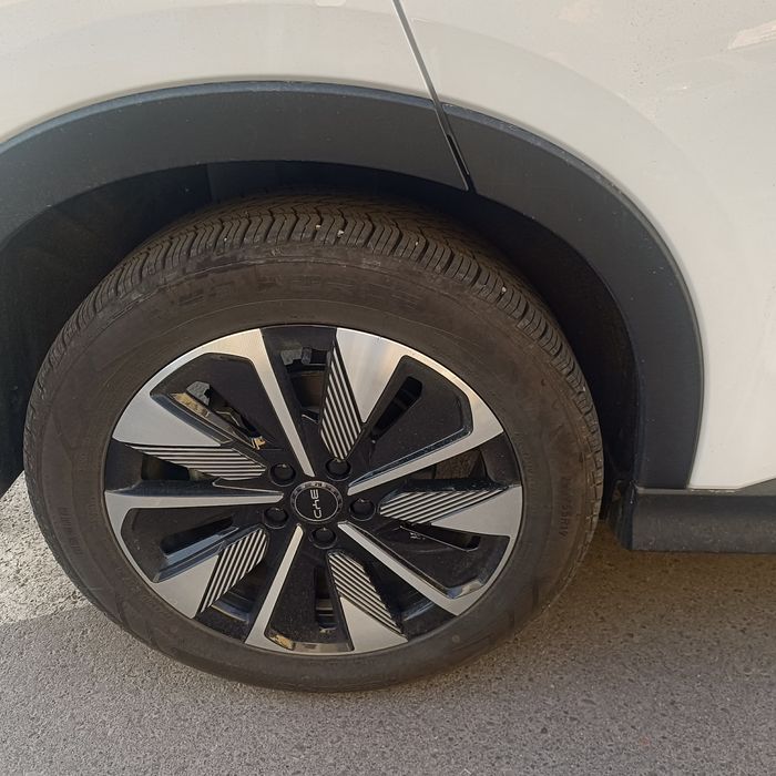 BYD champion smart 605