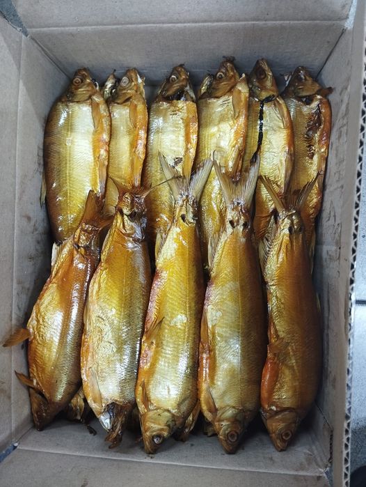 Продам рыбу: пелядь,карась,щука