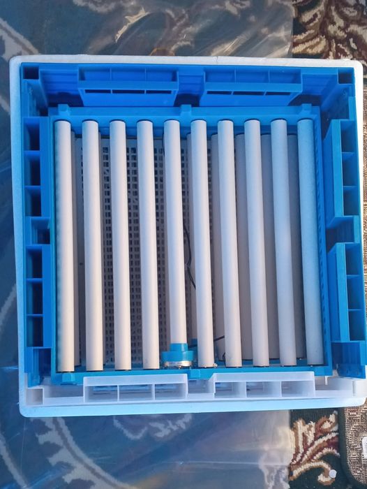 Enkibator sotiladi holati yangi