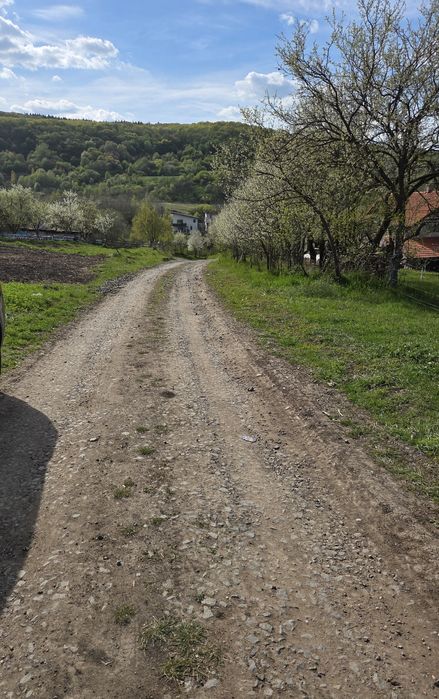 Teren Popesti Vale