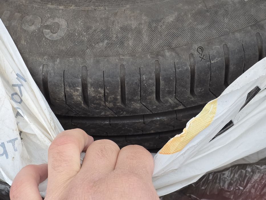 Летние шины Continental 185/55/15