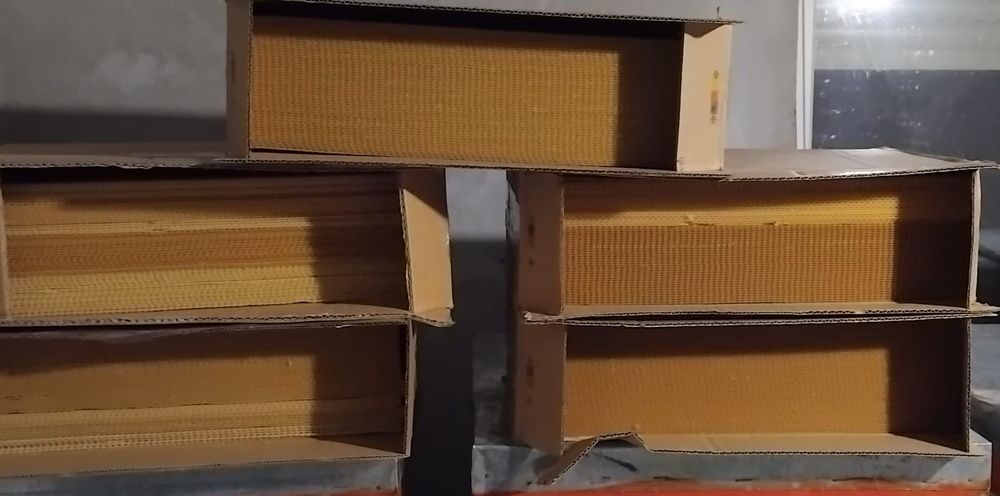 Faguri  de 1/1  de vanzare