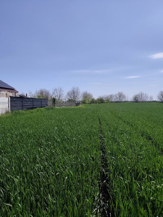 Teren de vanzare 2500 mp, Martacesti, Braila