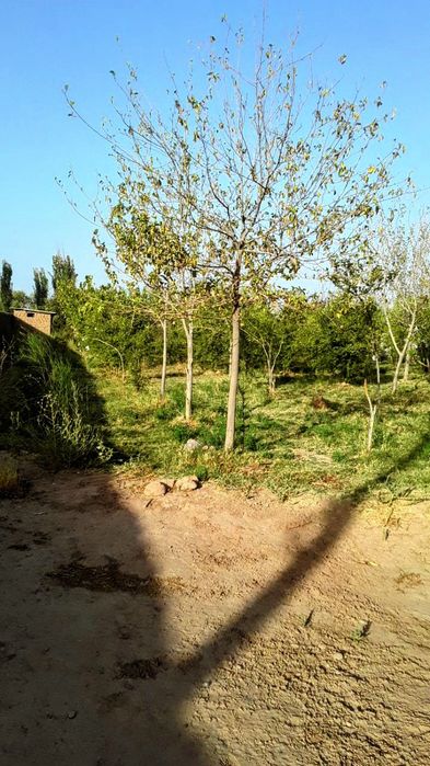 Xovlilik uy sotiladi zudlik bilan