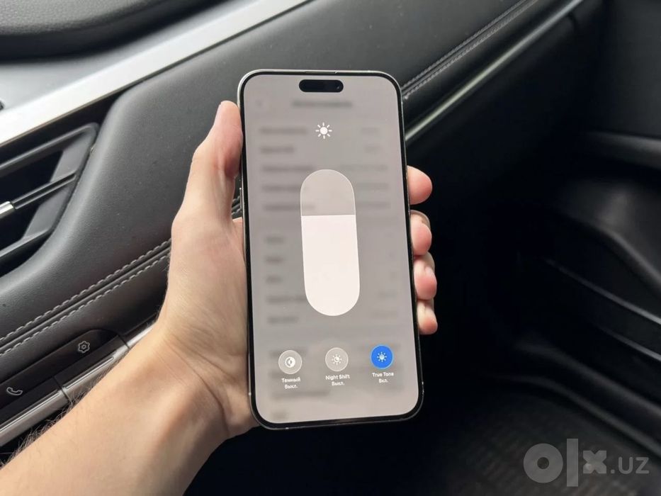iPhone 15 Pro Max 256 GB