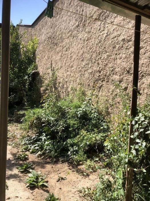 Продаётся дом 4 сотки , 4 комнаты чиланзарский район . Свой , без поср