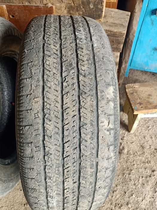 Продам баллоны летние