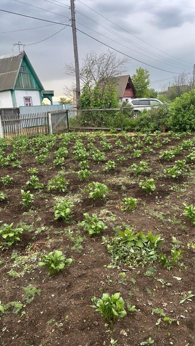 Продам дачный участок