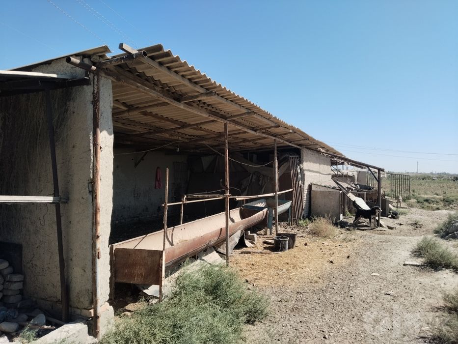 Баликхона арендага берилади
