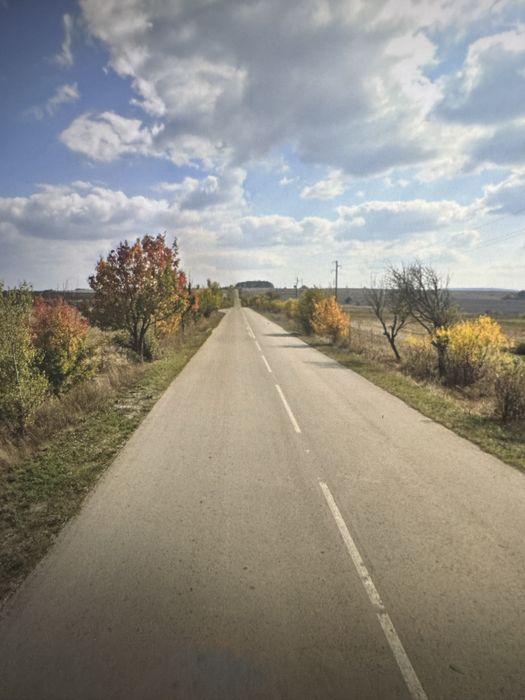 Продава се Земеделски имот в с. Божурка, Област Търговище -  кв.м за 2267 €/дка - Снимка #6