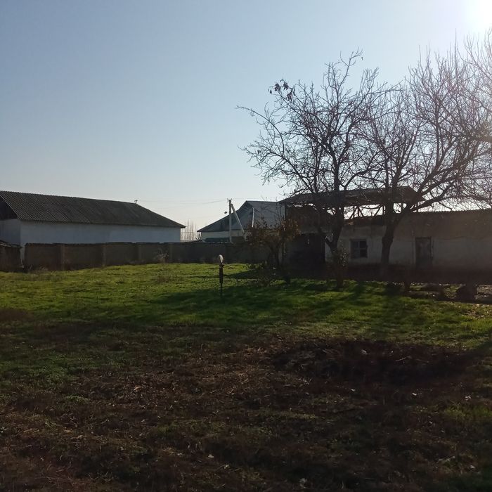 Срочно 40 соток Уй сотилади! ДОМ ПРОДАЁТСЯ  40 соток!