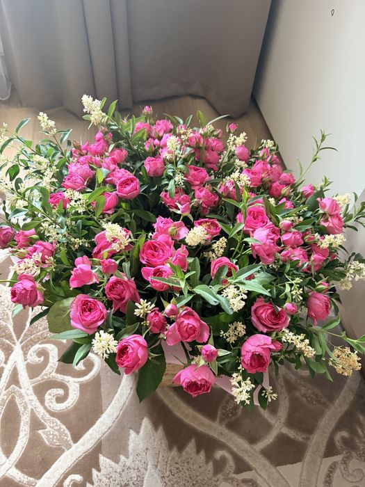 красивые цветы,АЛМАТА