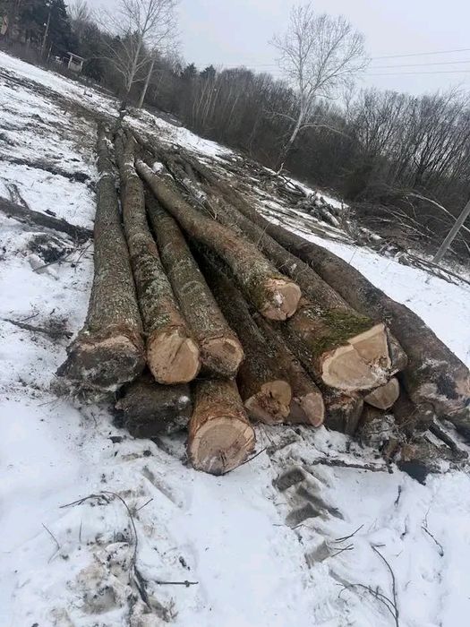 Lemne de foc la 350 lei metru eseță tare cu transport gratuit