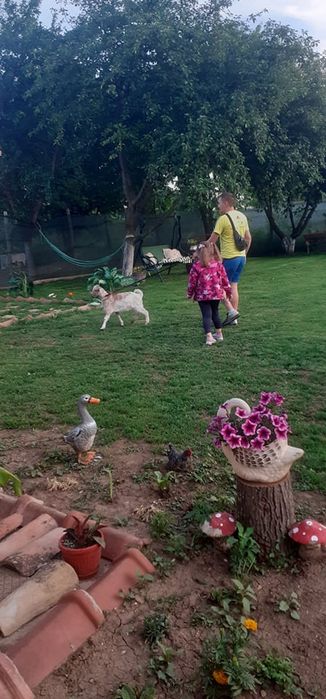 Продава се Къща в Стражица - 84 кв.м за 596 €/кв.м - Снимка #10