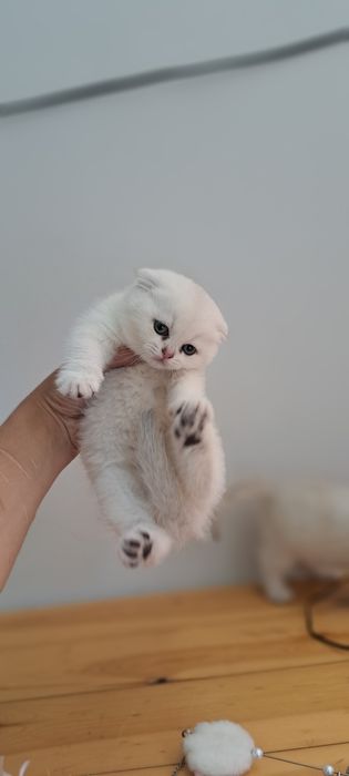 HD formatda ochiq porno tomosha qiling