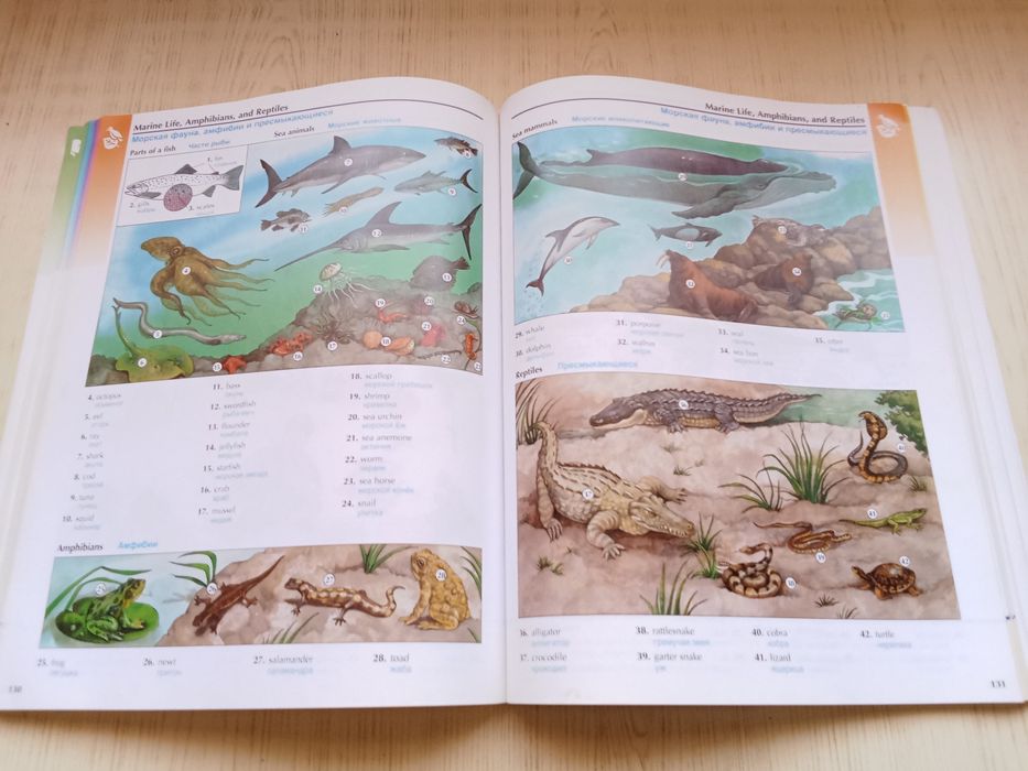 Словарь The Oxford picture dictionary