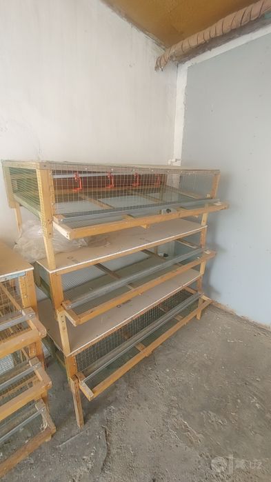 Bedana  kataklar sotiladi