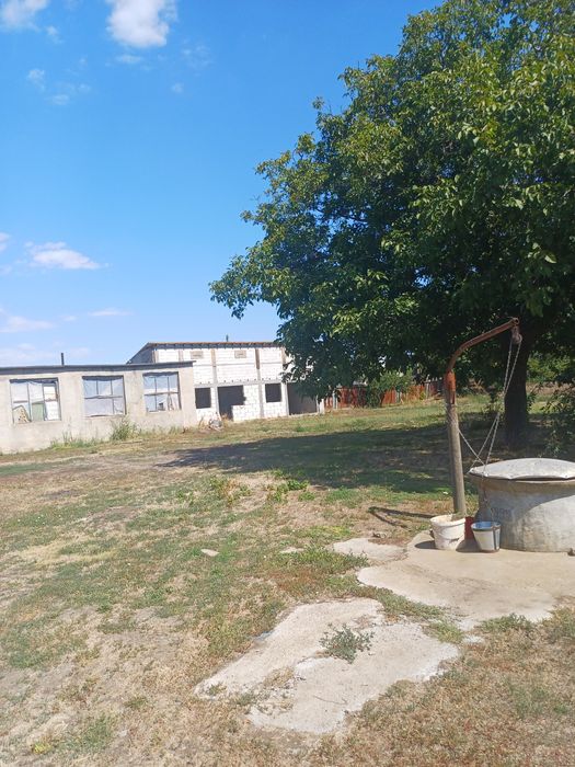 Casă cu teren în sat Albina