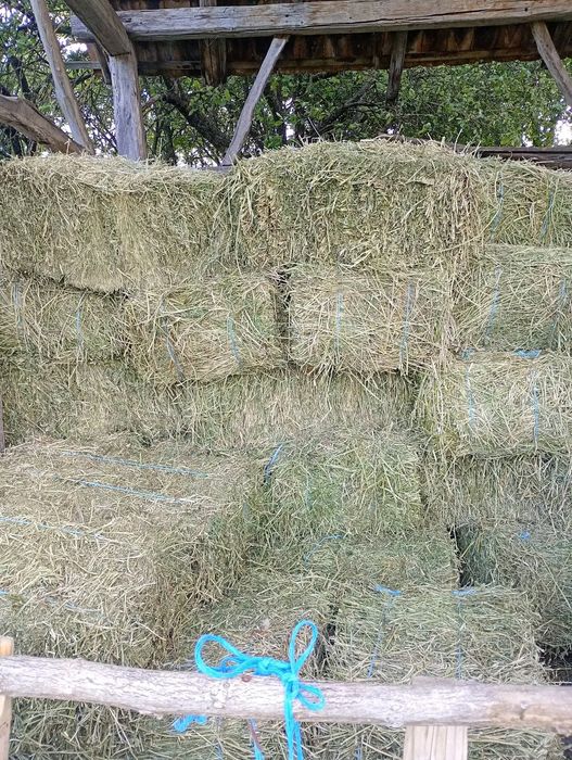 Baloti de luțernă