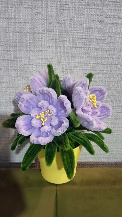 Продам цветы подарок