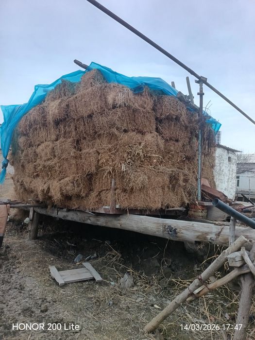 Беда прес 400 дона