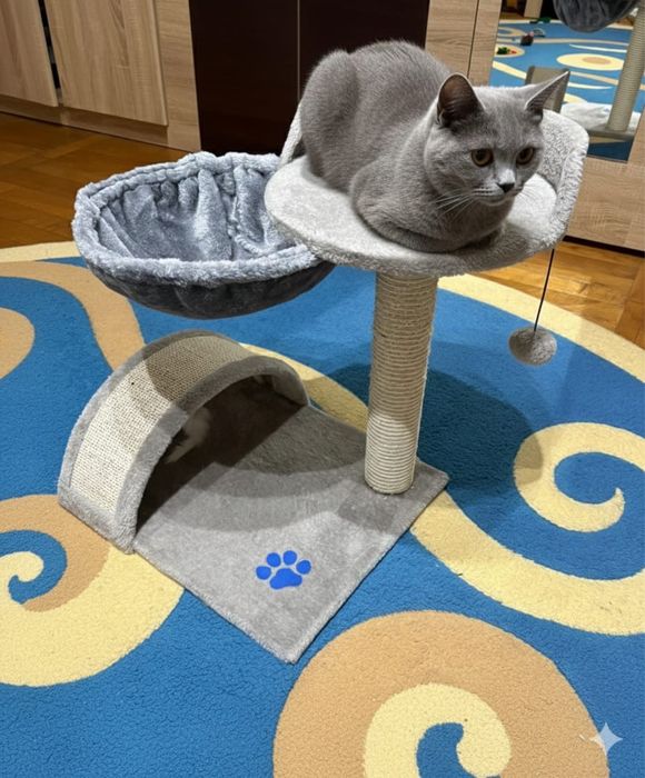 Ansamblu/Stalp de joaca pentru pisici