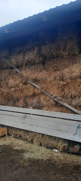 Vând baloți de fân