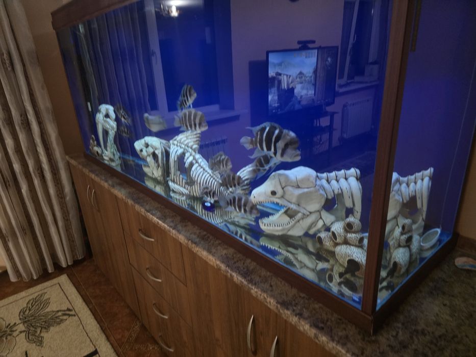 Продам аквариум большой