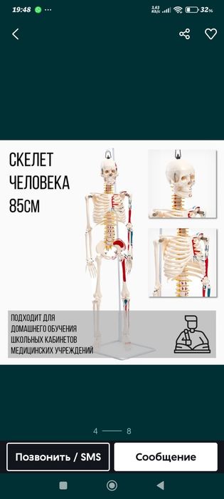 Odam skeleti. Скелет человека муляж. 85 см
