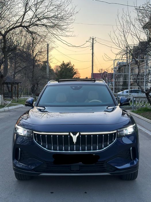 Voyah free full elektro