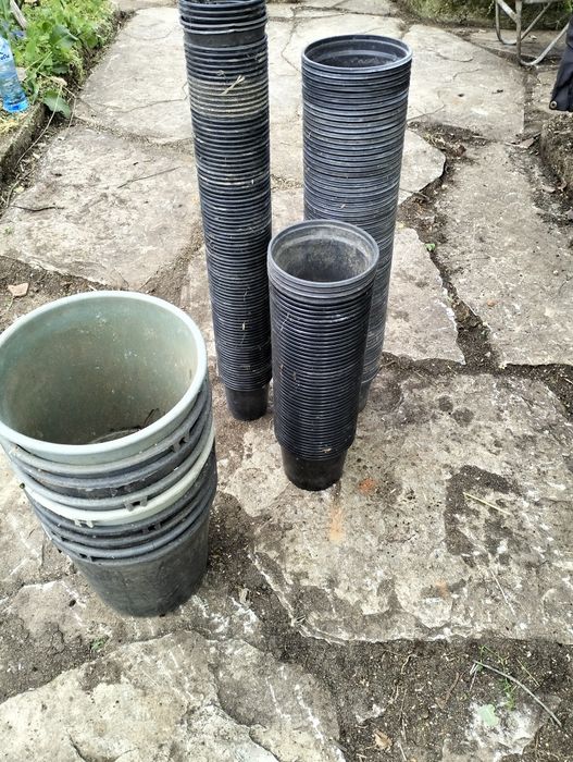 Кофички,саксии  за разсад