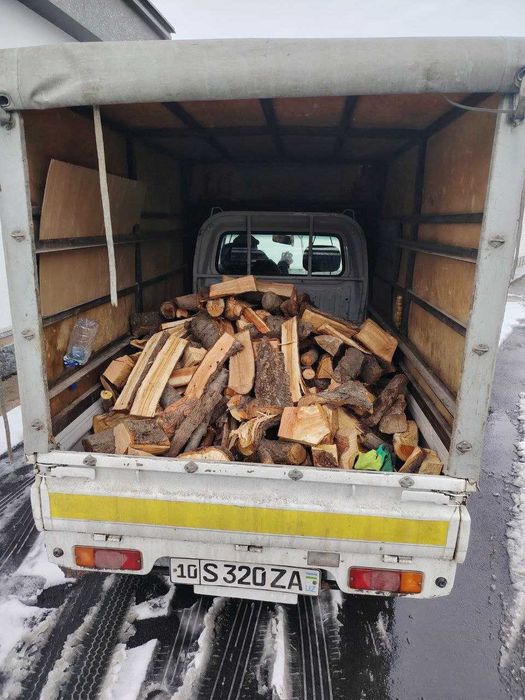 Ótin Драва mevali daraht