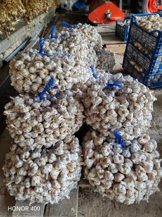 Продавам български, зимен, нелют чесън. Собствено производство.