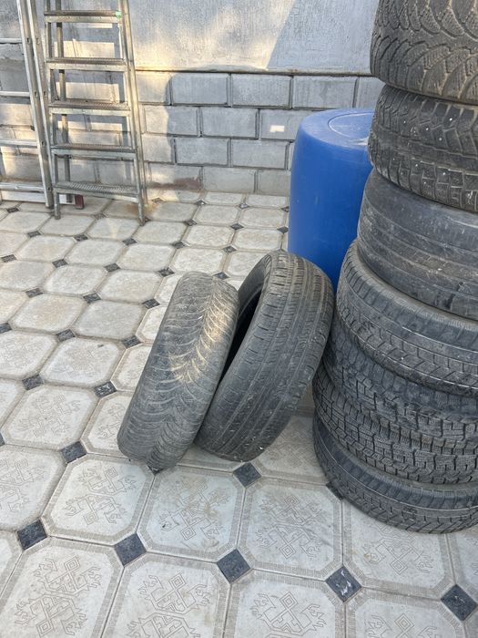 Зимние и летние шины