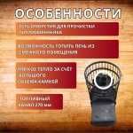 Банная печь Алтай 24 (10мм)