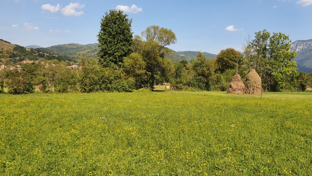 Vand teren intabulat  la munte