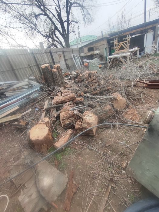 Отын дрова бесплатно