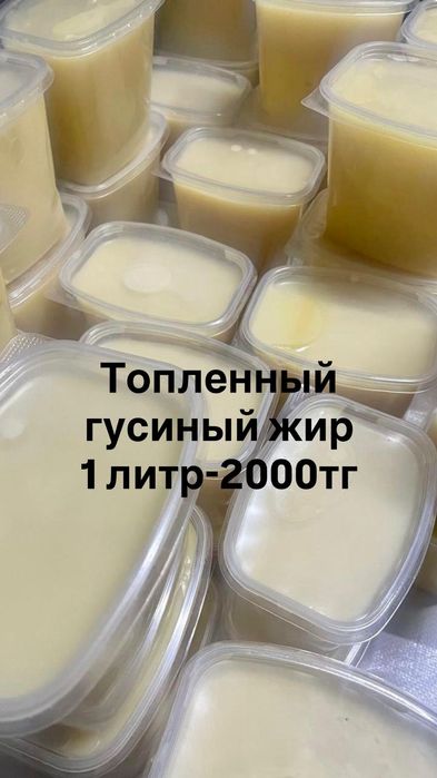 Продам гусей по 2600 за килограмм