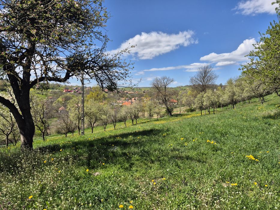 Teren 5000 mp Vatava, jud. Mureș, intabulat, intravilan 5.5 €/mp