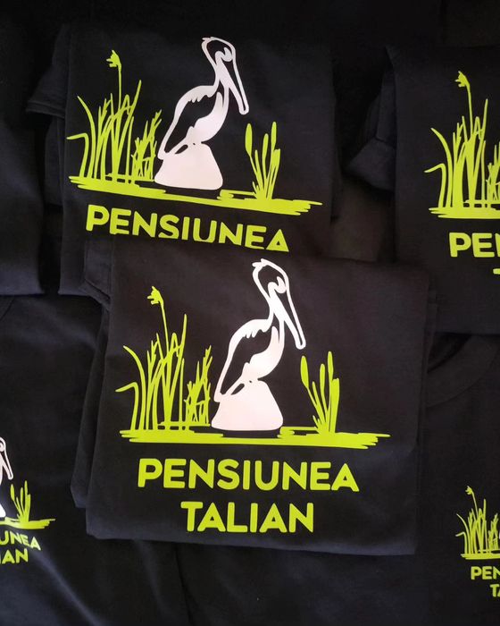 Servicii de Imprimare tricouri- personalizare DTF- print DTF