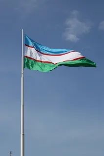 Гараж бетон Буз 2 Черданцева 2 тараканчик