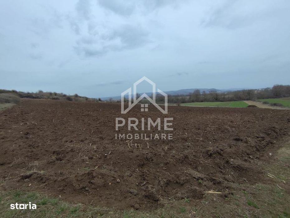 Teren Intravilan 9.700 mp| zona Parau lui Mihai